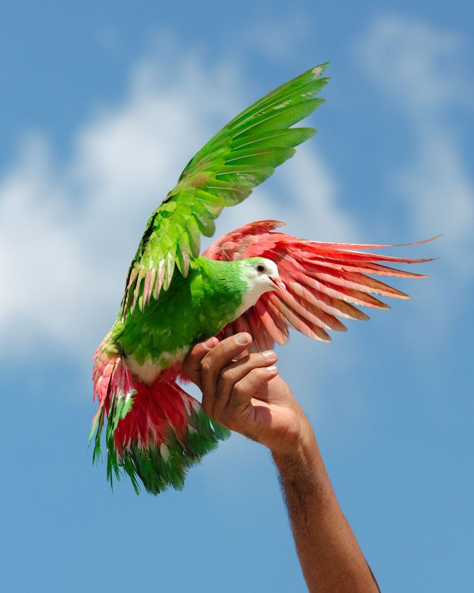 Honoring Indigenous Activist Jacob Johns