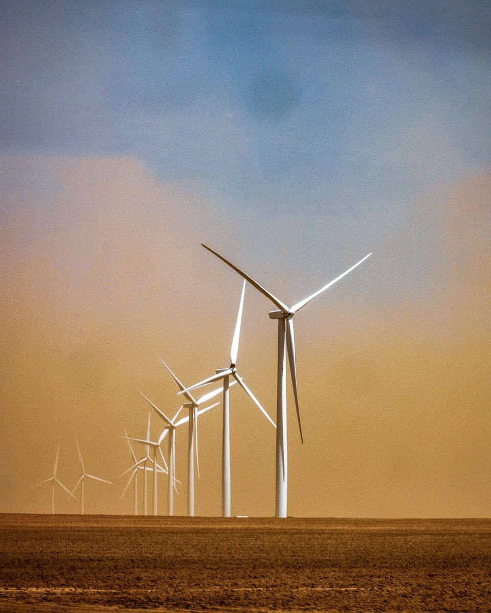 Where the Wind Blows