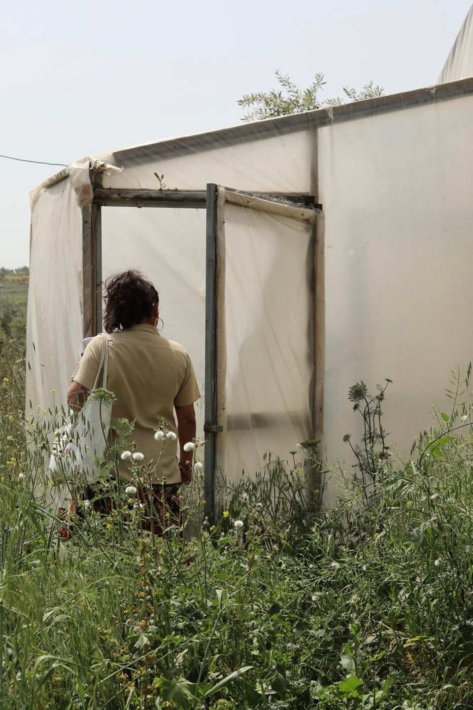 A Newsletter Readers Trust