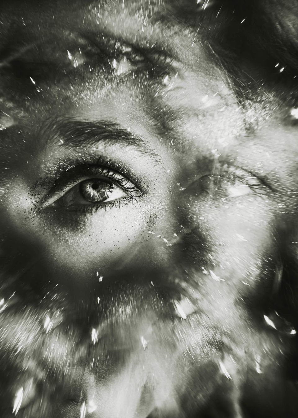 The Highest Court Speaks Out