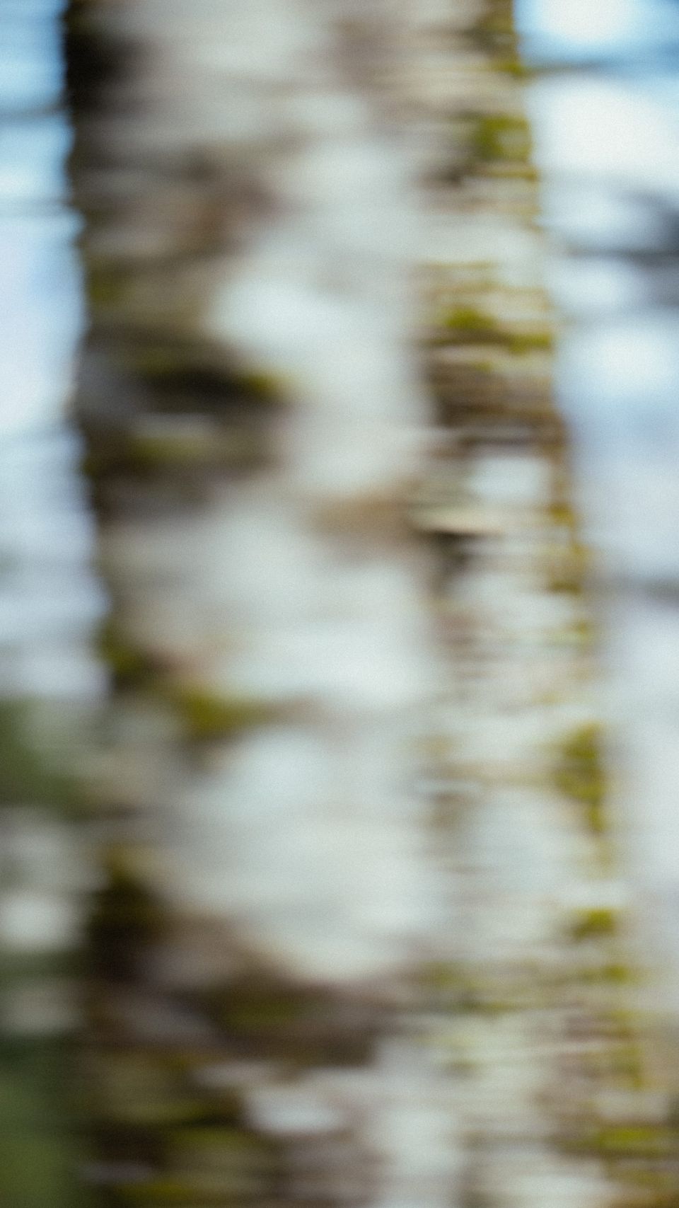 My Favorite Climate Stories of 2025