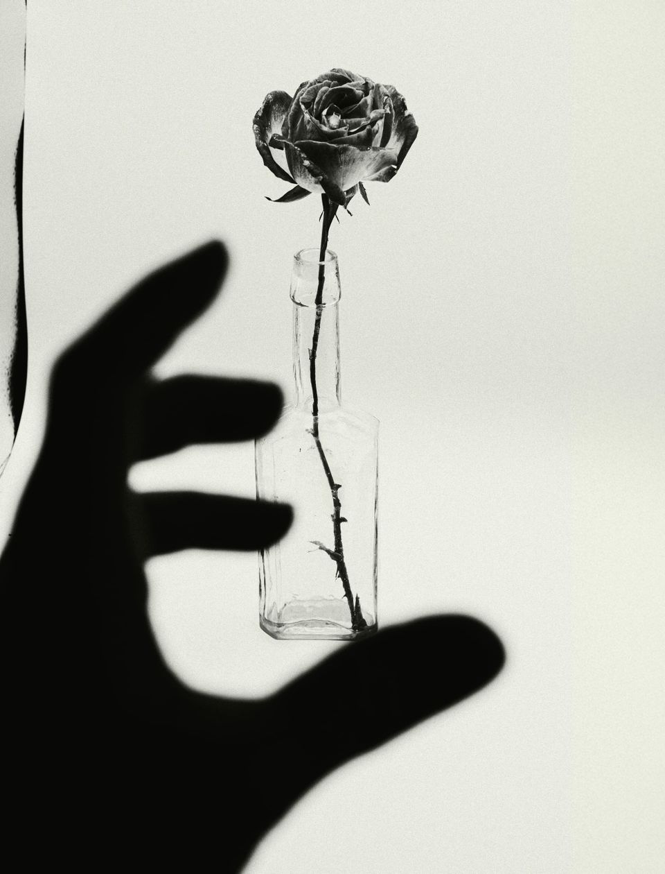 On Kinship With Alex Pretti