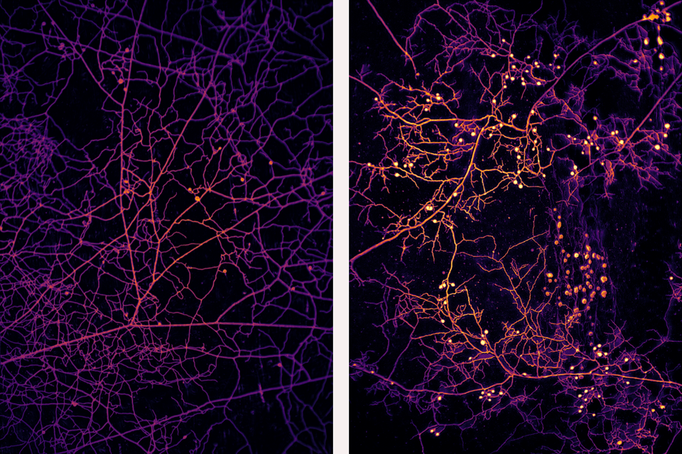 Underground Astronauts