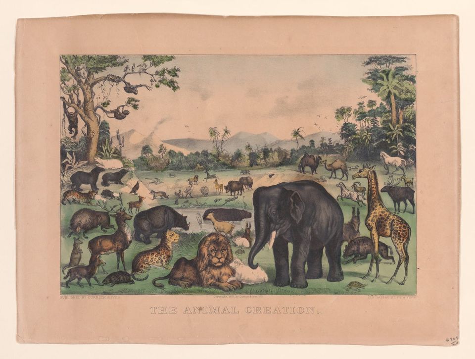 Lessons From Hantavirus