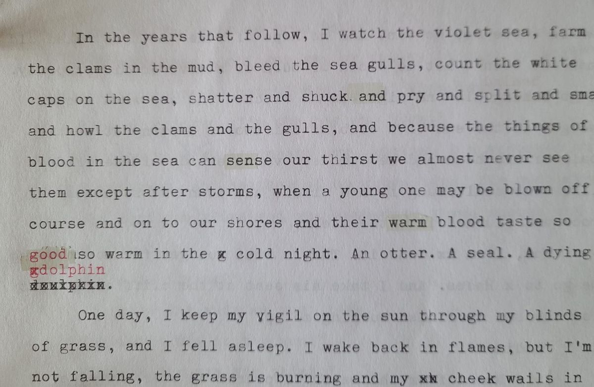 Chapter 4: A bat of beaks