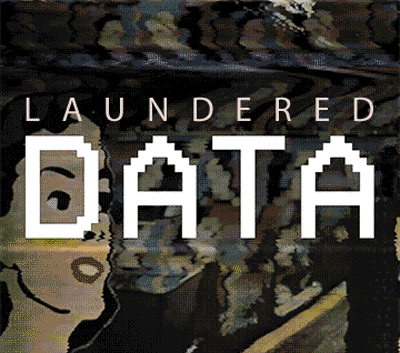 Unmasking Biases in Pre-Trained Transformers with Laundered Data