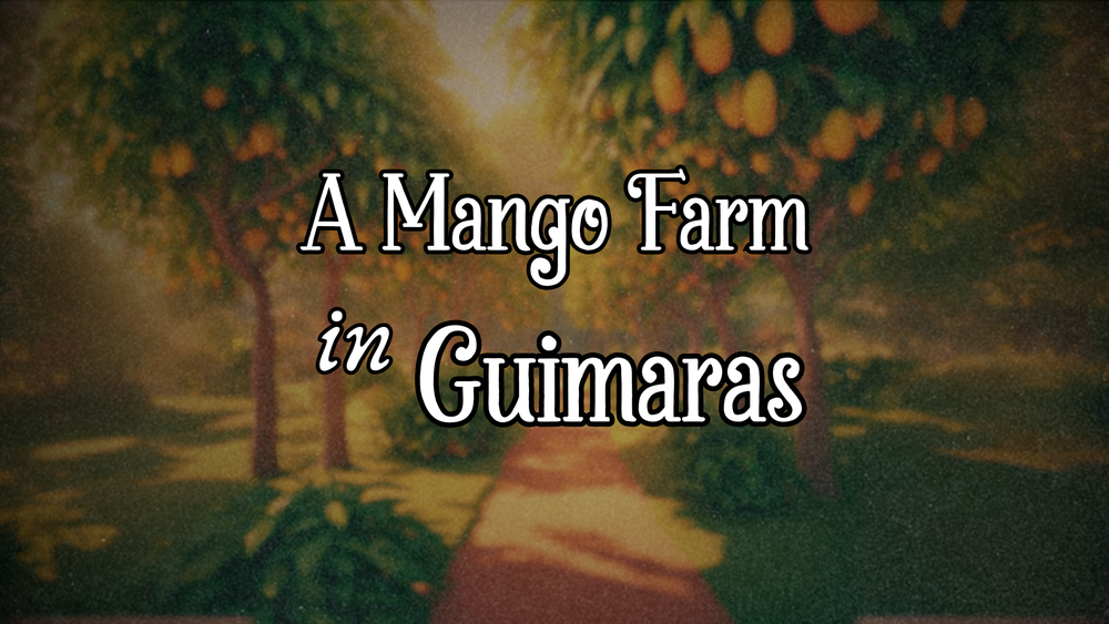A Mango Farm in Guimaras post feature image