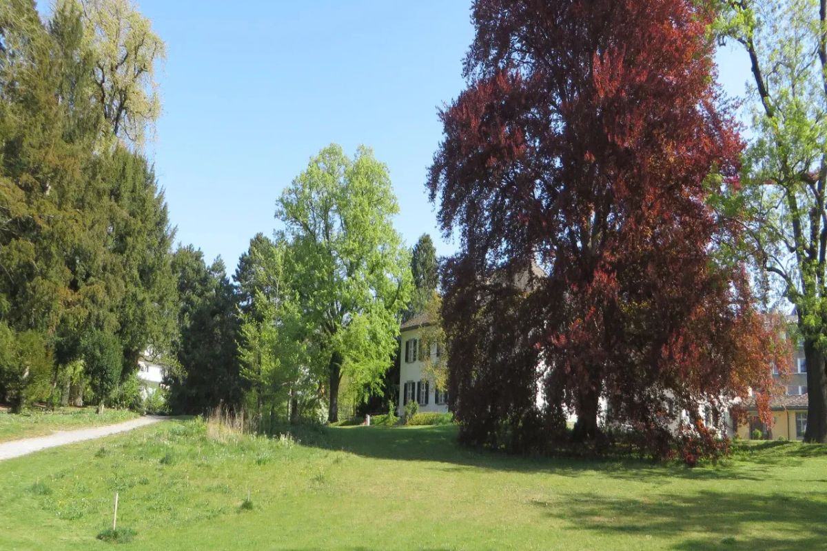 Beckenhofpark Inauguration