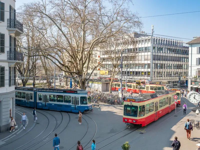 Second Protest Planned at Stadelhoferplatz Over Zürich Pigeon Culling