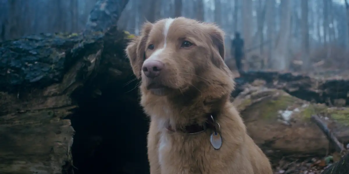 Good Boy features one of the best leading performances ever