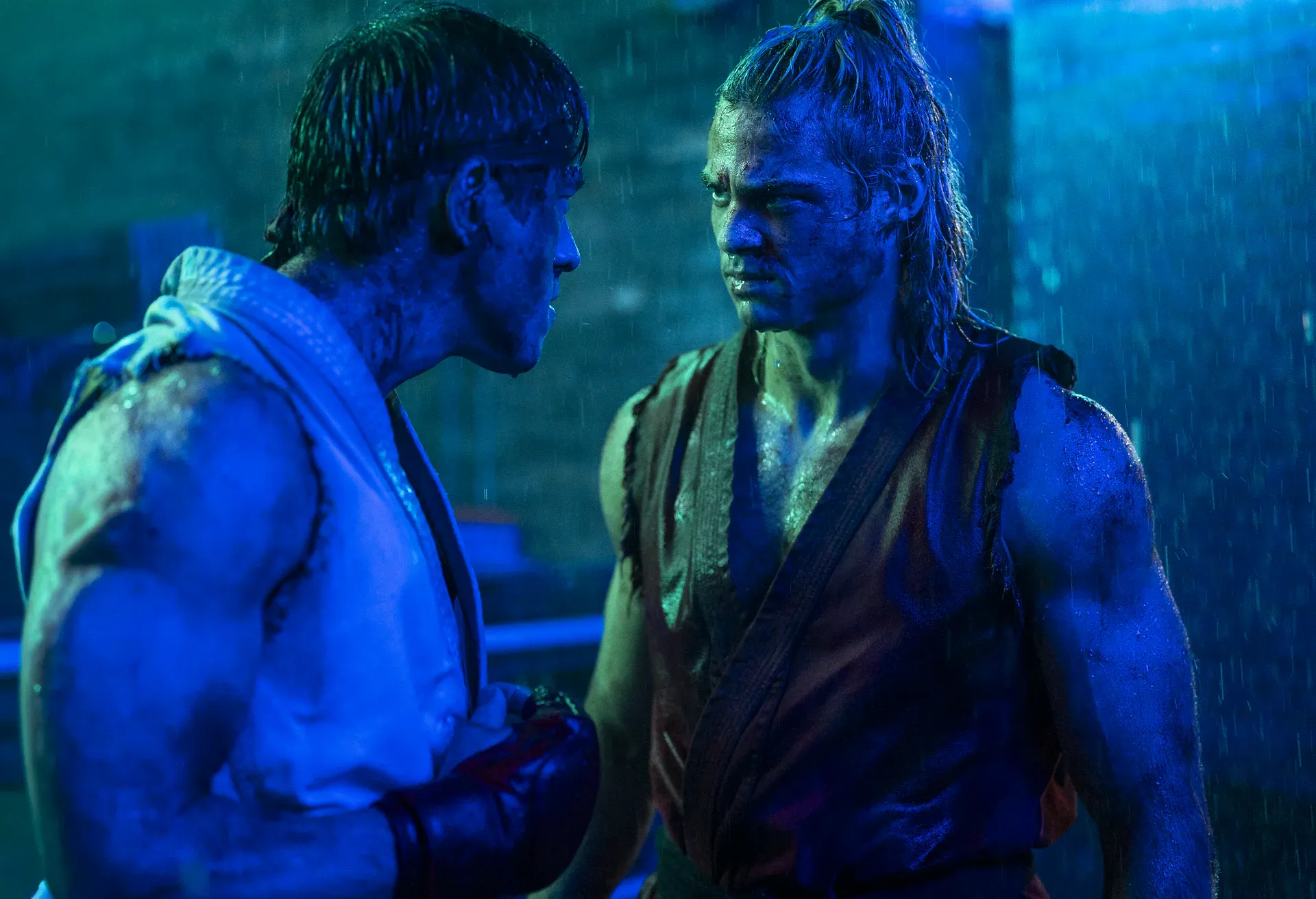 Street Fighter is the best adaptation of the material to date