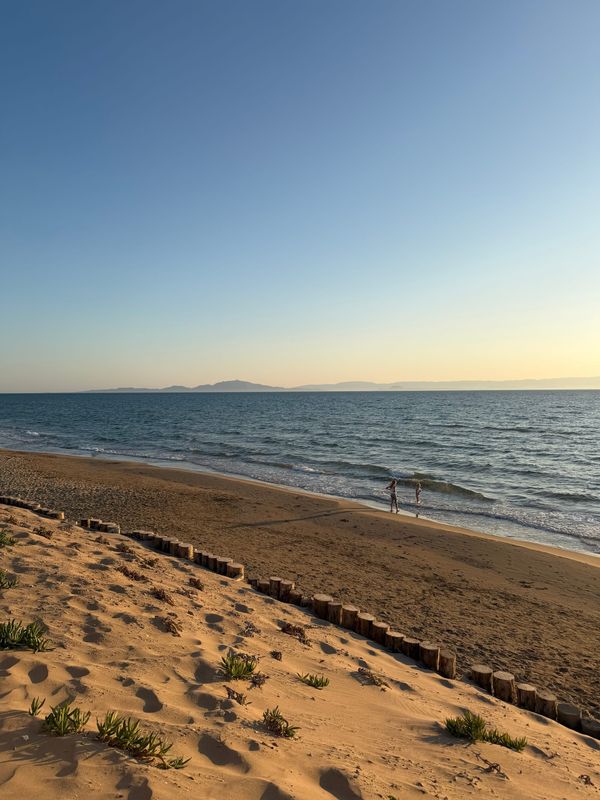 Notizen aus dem dritten Viertel: Every Grain of Sand
