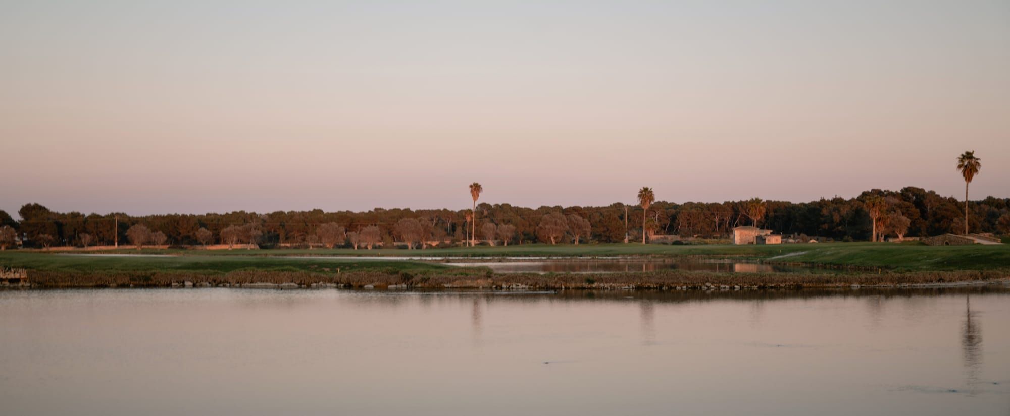 Observed Golf