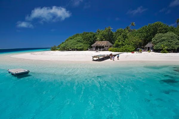 Discover Tonga Like a Local: Why TongaBooking.com Is the Future of Island Travel