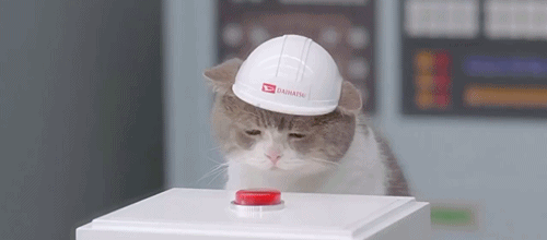  An animated gif of a cat wearing a tiny construction helmet, pressing a red glowing button. 