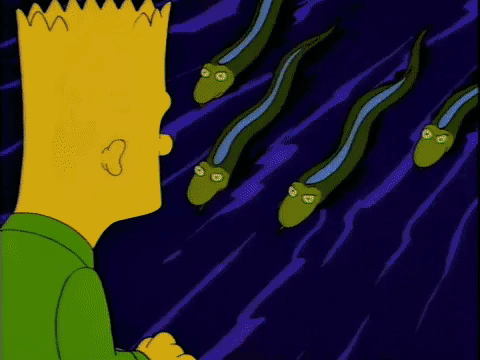 Animated gif from The Simpsons where Bart runs to the front of a boat and sees electric eels in the water, then runs to the other end of the boat and sees an alligator.