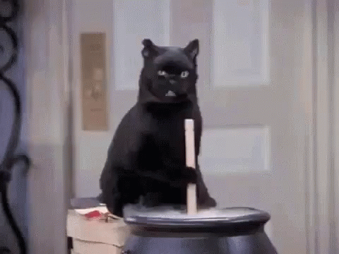 Animated gif of Salem the cat stirring a cauldron