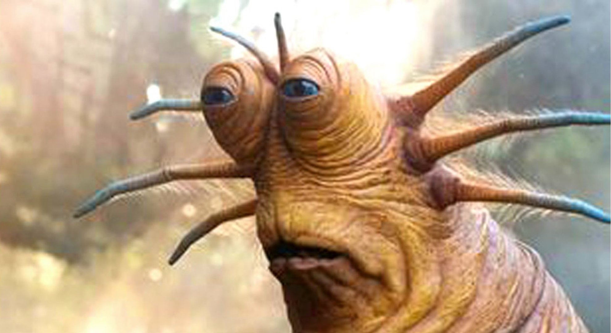 The slug from Star Wars: The Rise of Skywalker that became the basis for the "Live Slug Reaction" meme