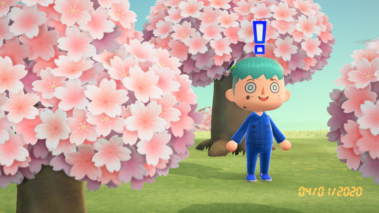  Flourish’s Animal Crossing avatar is delighted by cherry blossoms. 