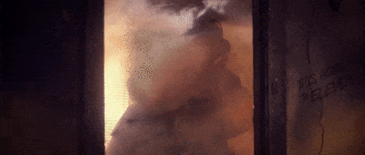  A firefighter rescues This Is Fine Dog. 