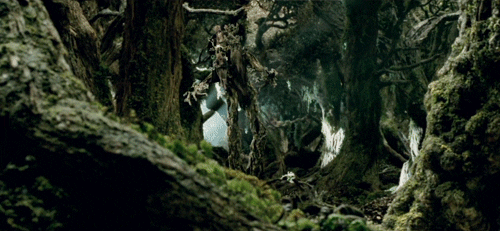  Animated gif of an ent walking through the forest 