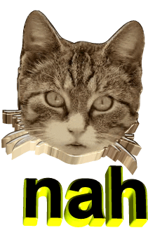  a cat says “nah” 