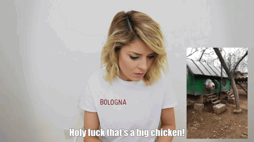  An animated gif. Grace Helbig reacts to a video of a freakishly large chicken coming out of a henhouse by shouting “Holy fuck that’s a big chicken!” 