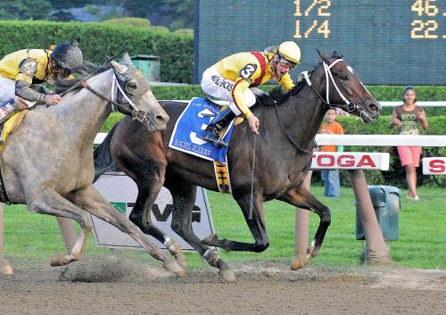  A horse, Rachel Alexandra, mid-race, ridden by a jockey. 