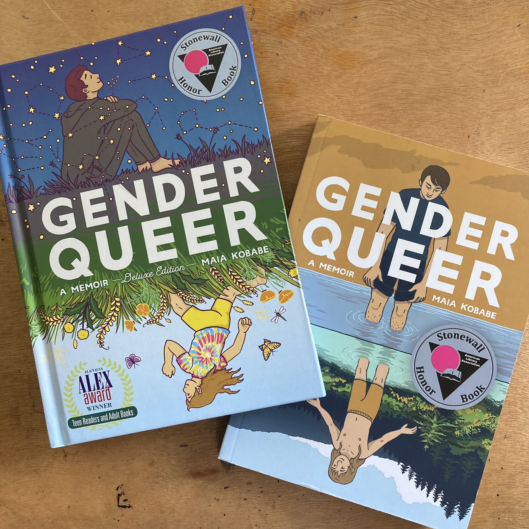 Photograph of the hardcover and paperback versions of Gender Queer