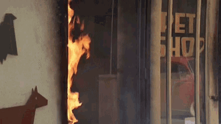 Animated gif of Pee-Wee Herman running out of a burning pet shop with two handfuls of snakes and then falling over