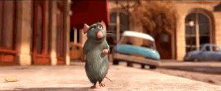  A short clip from the movie  Ratatouille . Remy the rat from Ratatouille walks down the street, surprising a man on a bicycle and making him crash.