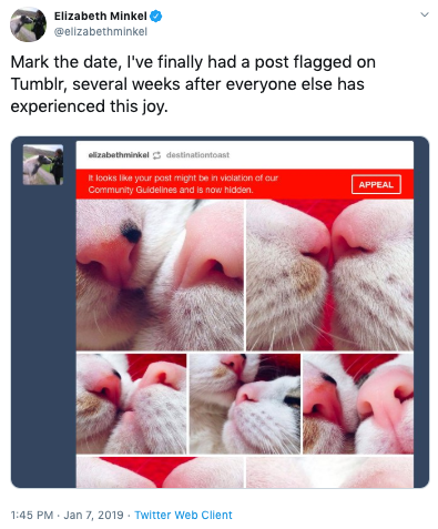  Elizabeth tweets: Mark the date, I’ve finally had a post flagged on Tumblr, several weeks after everyone else has experienced this joy. (The accompanying image is of Tumblr having flagged kitten noses as explicit.) 