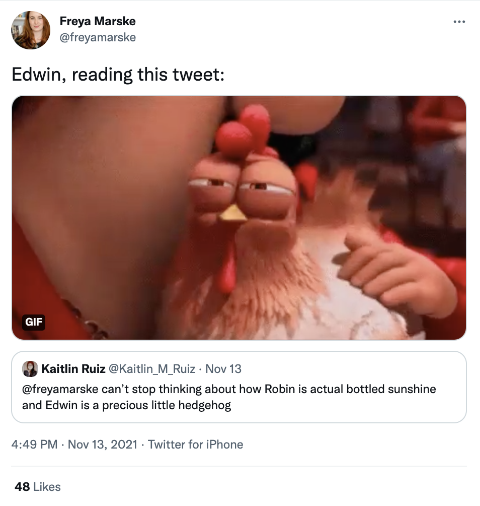 @kaitlin_m_ruiz tweets: "Can't stop thinking about Robin is actual bottled sunshine and Edwin is a precious little hedgehog." Response: "Edwin, reading this tweet: [image of chicken narrowing its eyes]".