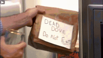 Animated gif from Arrested Development of Michael Bluth taking a bag labeled DEAD DOVE DO NOT EAT from the refrigerator, looking inside, and saying, "I don't know what I expected."
