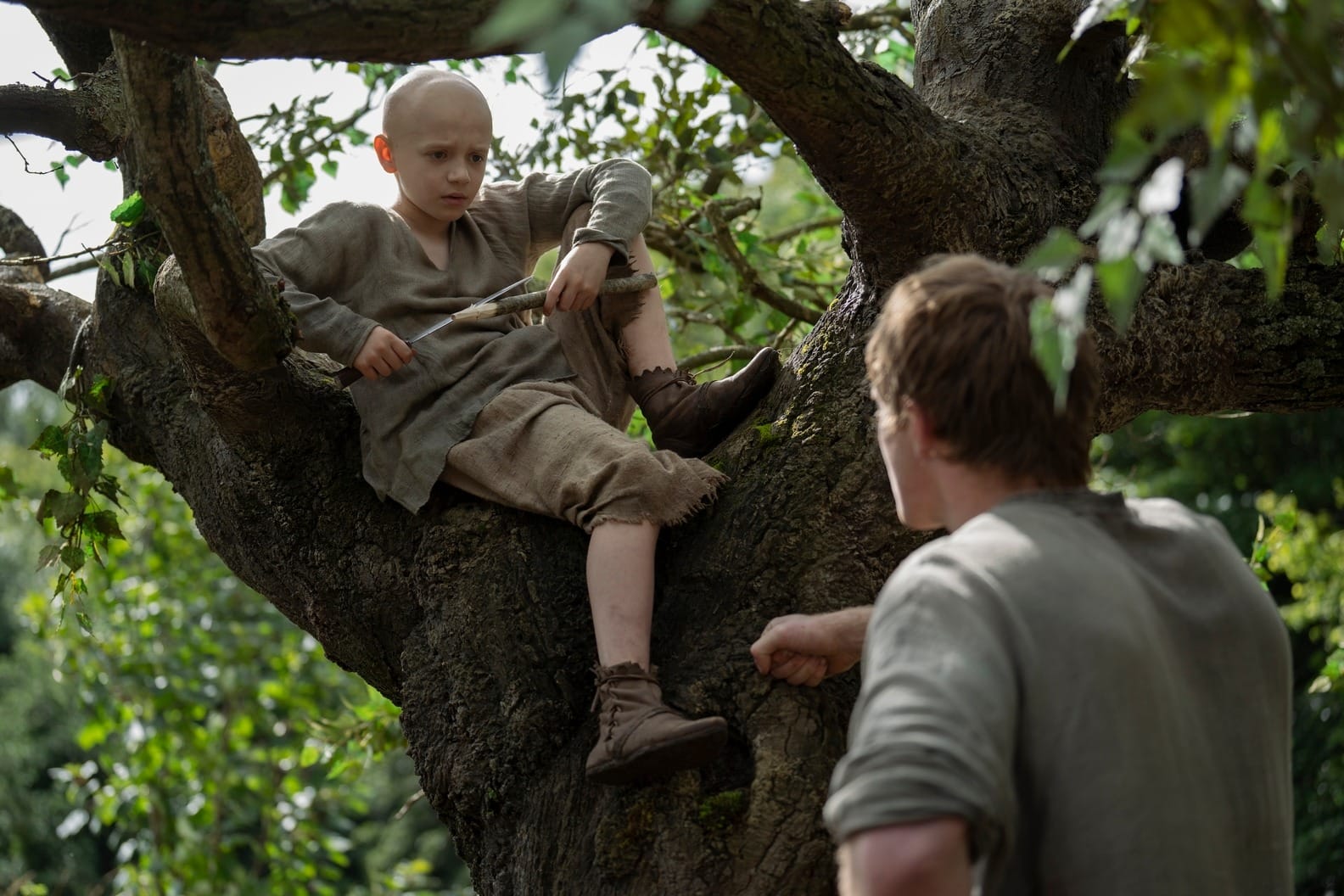 Image of Egg in a tree looking down at Dunk