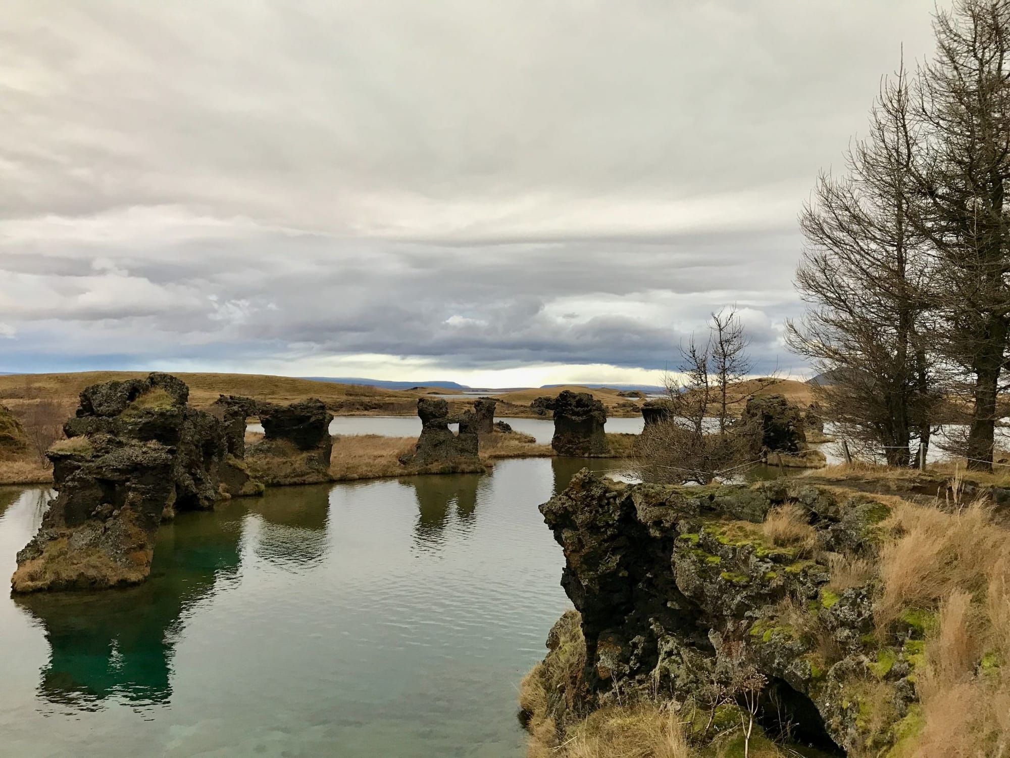 Image of an Icelandic landscape featuring grey skies and the mossy banks of a body of water.