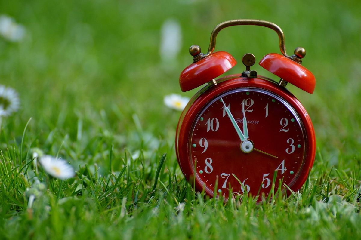 Photograph of an old-fashioned red clock with white hands (displaying 11 o'clock) sitting in a green field with daisies growing.