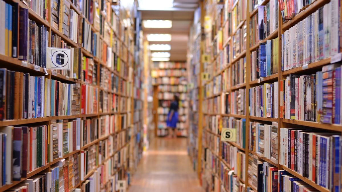 Shelves in a bookstore, with a person browsing them. 