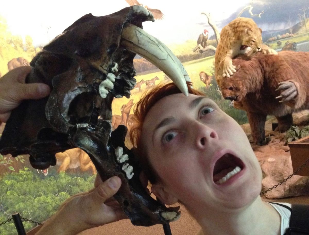Photo of Lilah pretending to scream as a fossil of what looks like a sabertooth tiger bites her head.