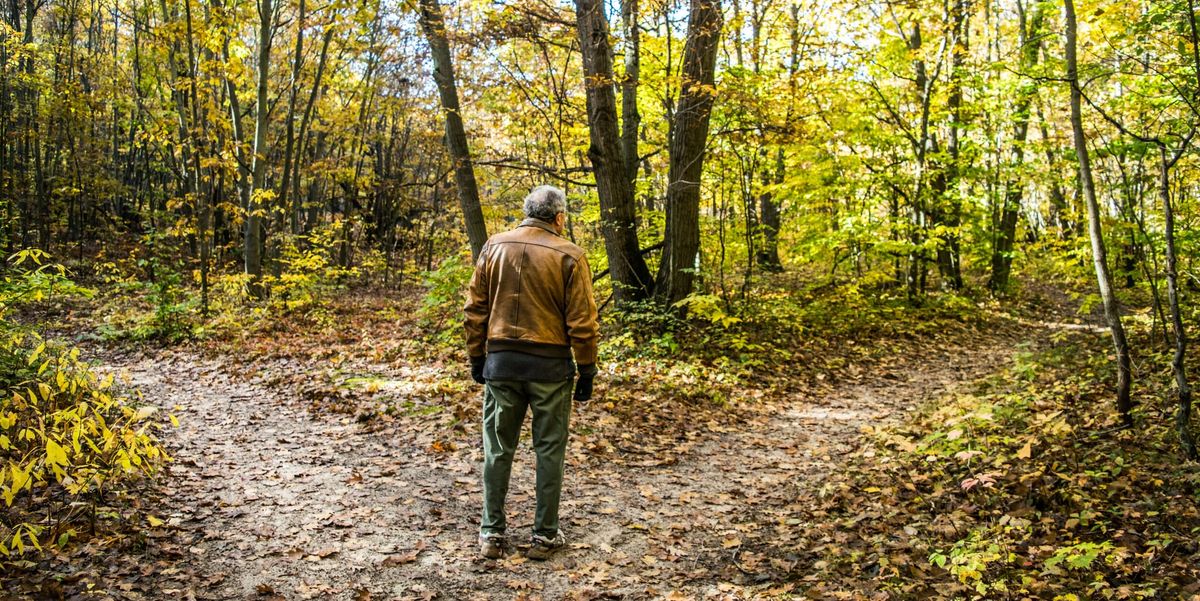 A man standing at a divergent path in the woods.