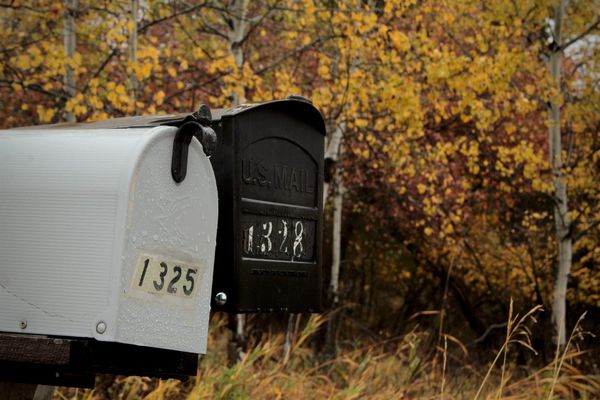 Picture of two mailboxes, one white and one black, against yellow autumn leaves.
