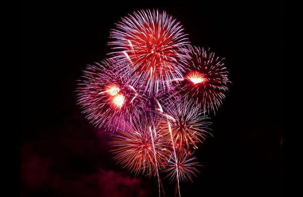 Fireworks in pink and orange exploding against a black sky.
