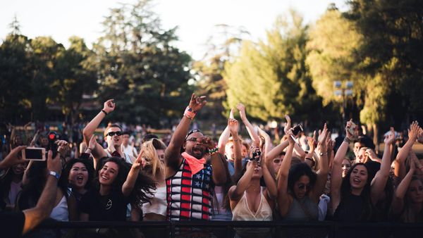 Stans cheering at a music event. 
