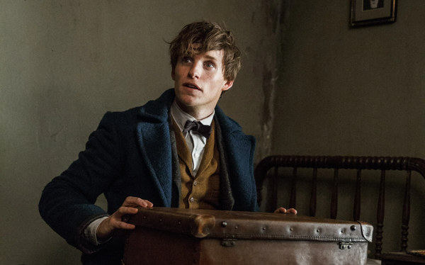 Eddie Redmayne as Newt Scamander from Fantastic Beasts and Where to Find Them.  