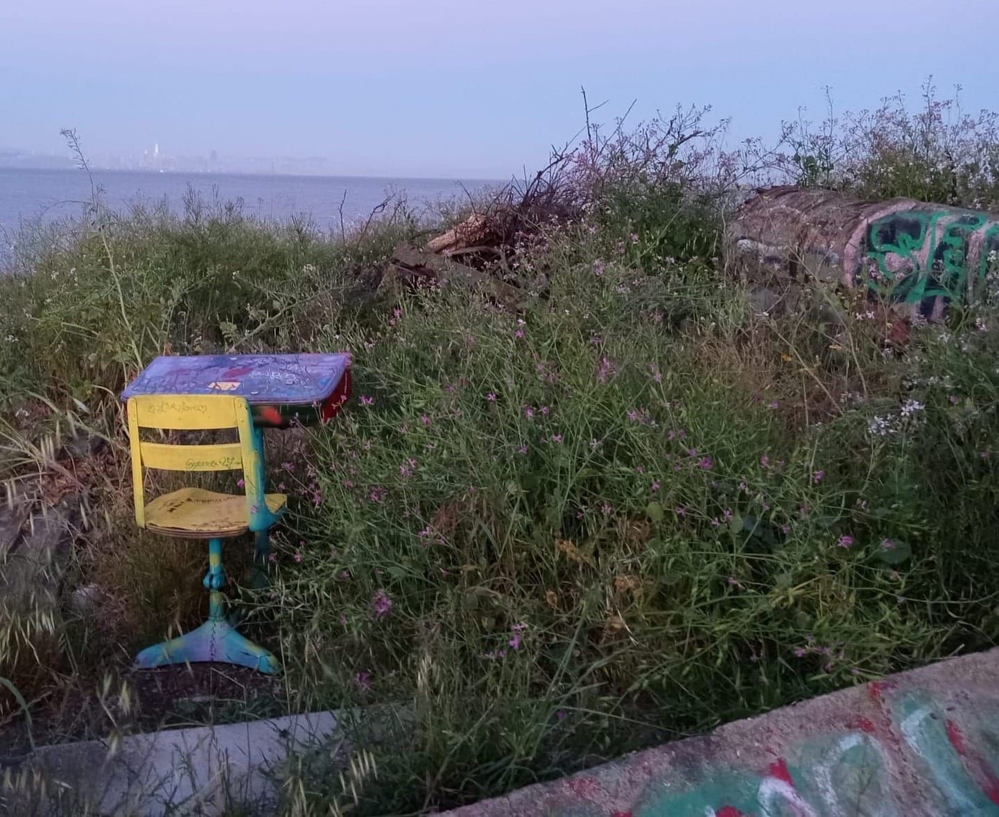 The Metaphor Society