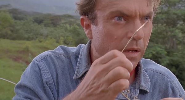 Remembering Sam Neill, Who 'Just Fit In With Whatever’s Going On'