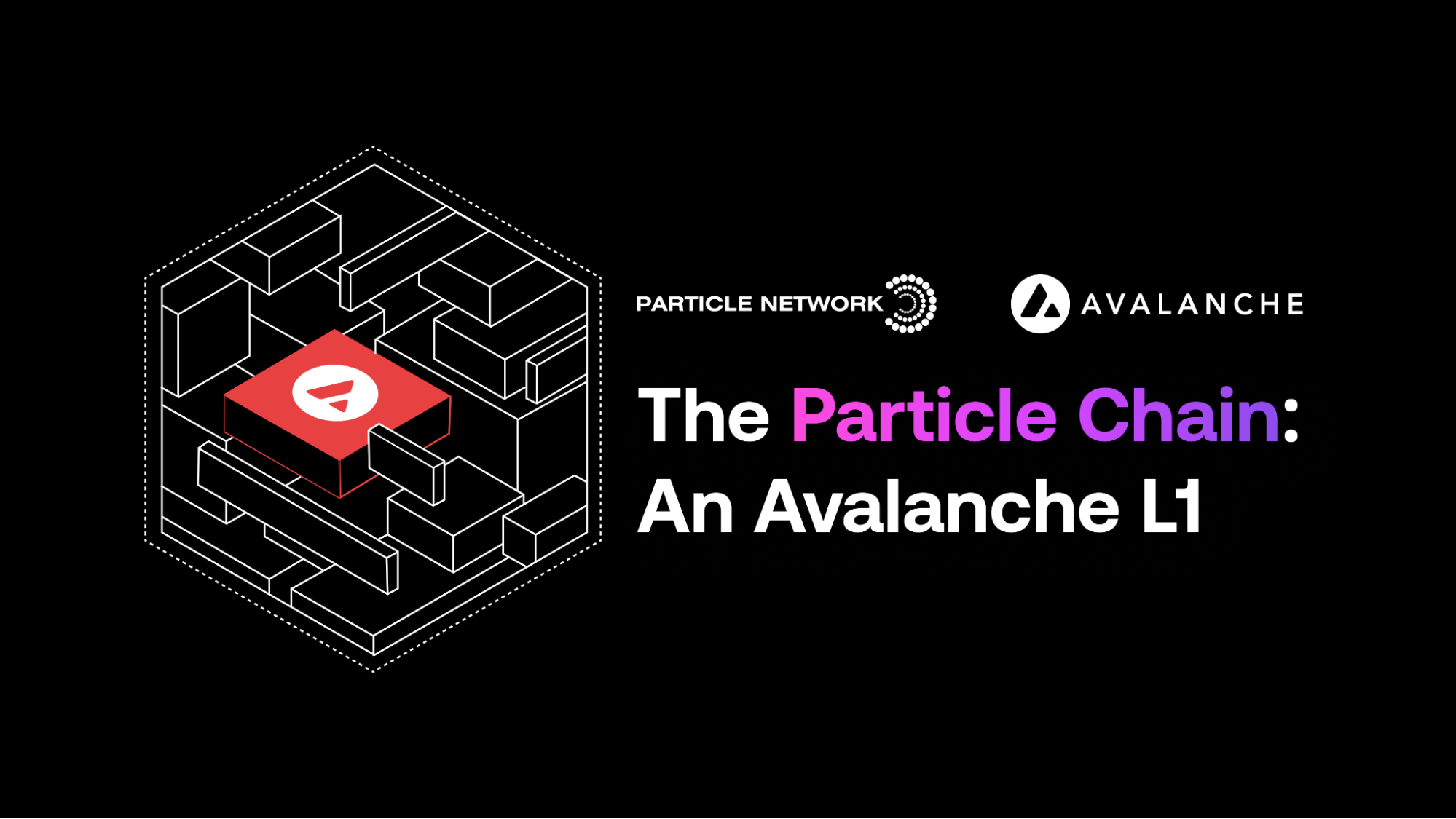 The Particle Chain Is Launching On Avalanche!