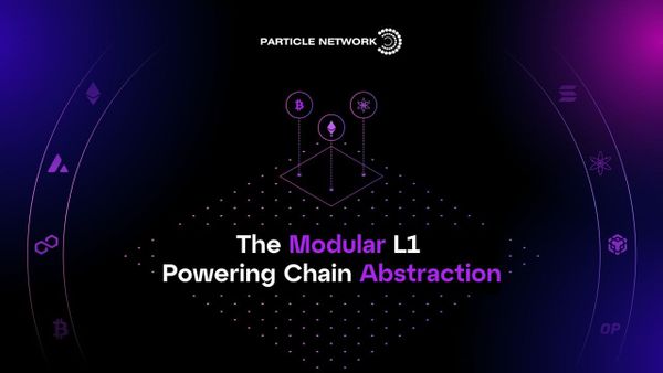 The Modular L1 Powering Chain Abstraction: Particle Network