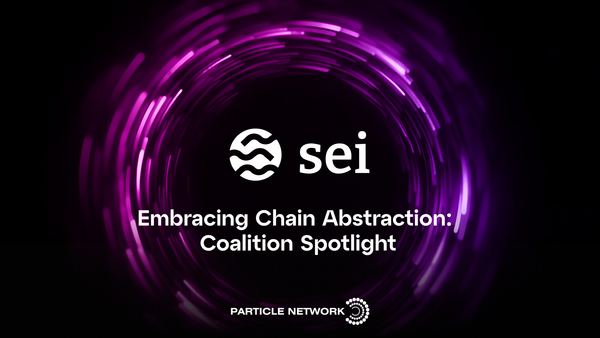 Embracing the Chain Abstraction Experience: Q&A with Sei
