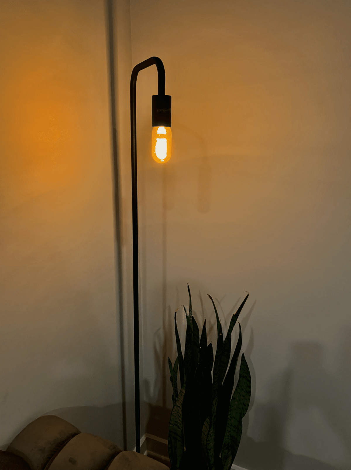 Investing in Lighting Did Great Things for My Mental and Physical Health